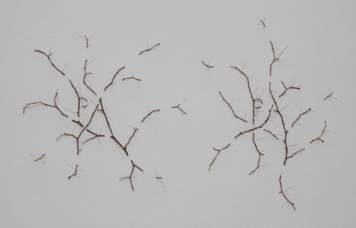 twigs