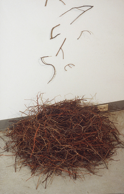 twigs
