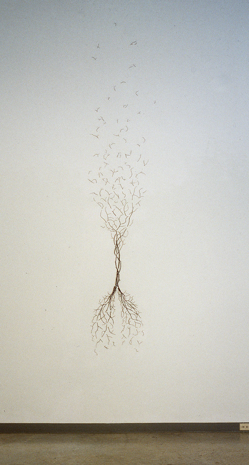 twigs
