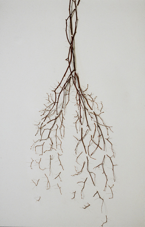 twigs